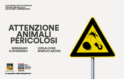 Immagine anteprima