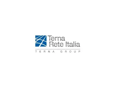 Terna group logo