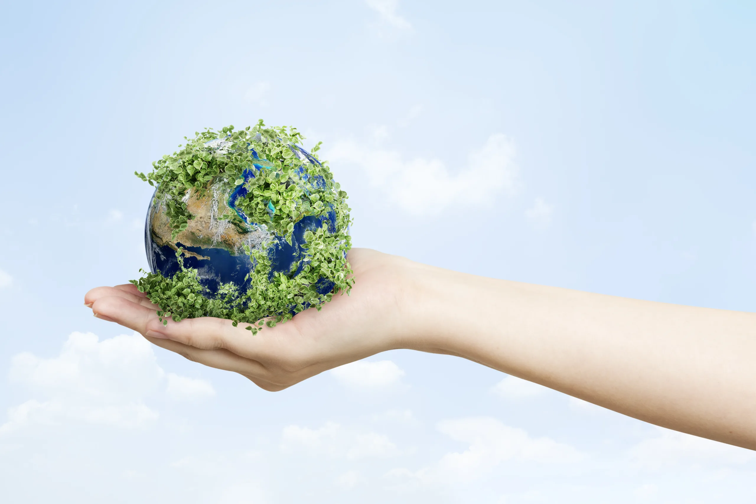 Sustainable living environmentalist hand holding green earth