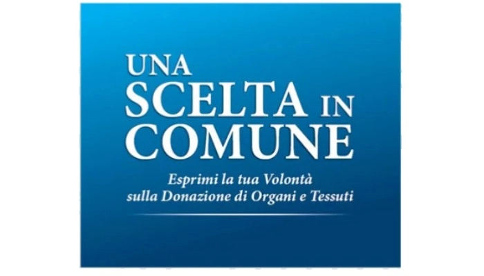 Immagine anteprima